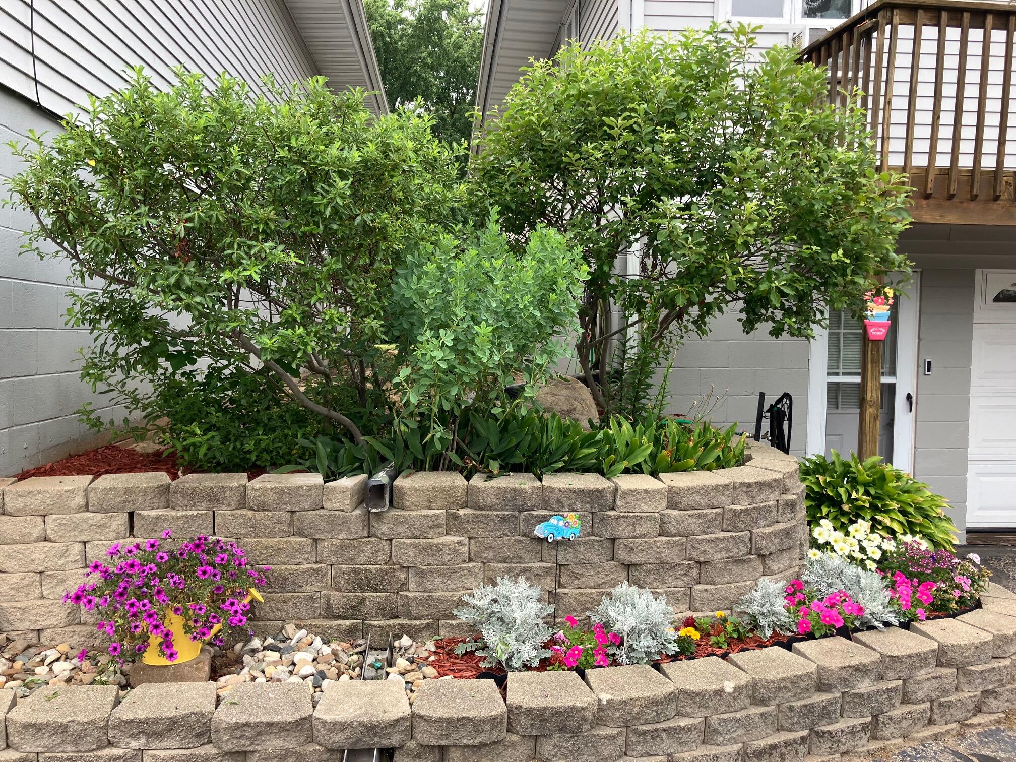 2913 Pagoda Path 2