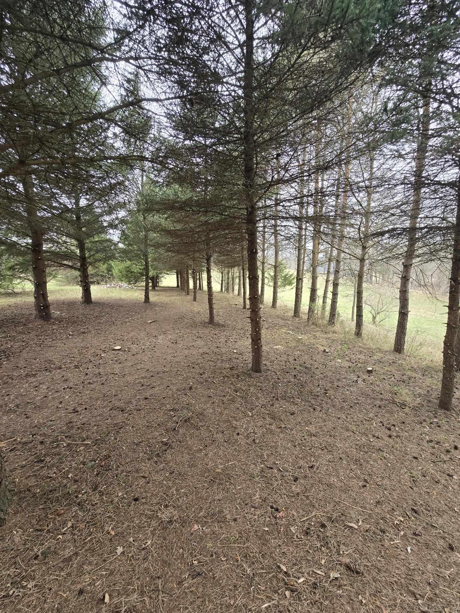 0 Elevation Lane