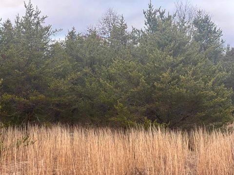 2214 E 56th Street Yates Township MI 49623