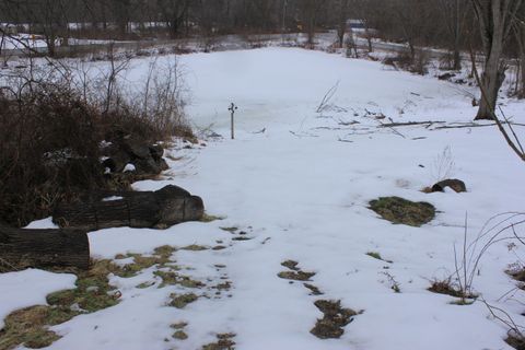 listing image 38