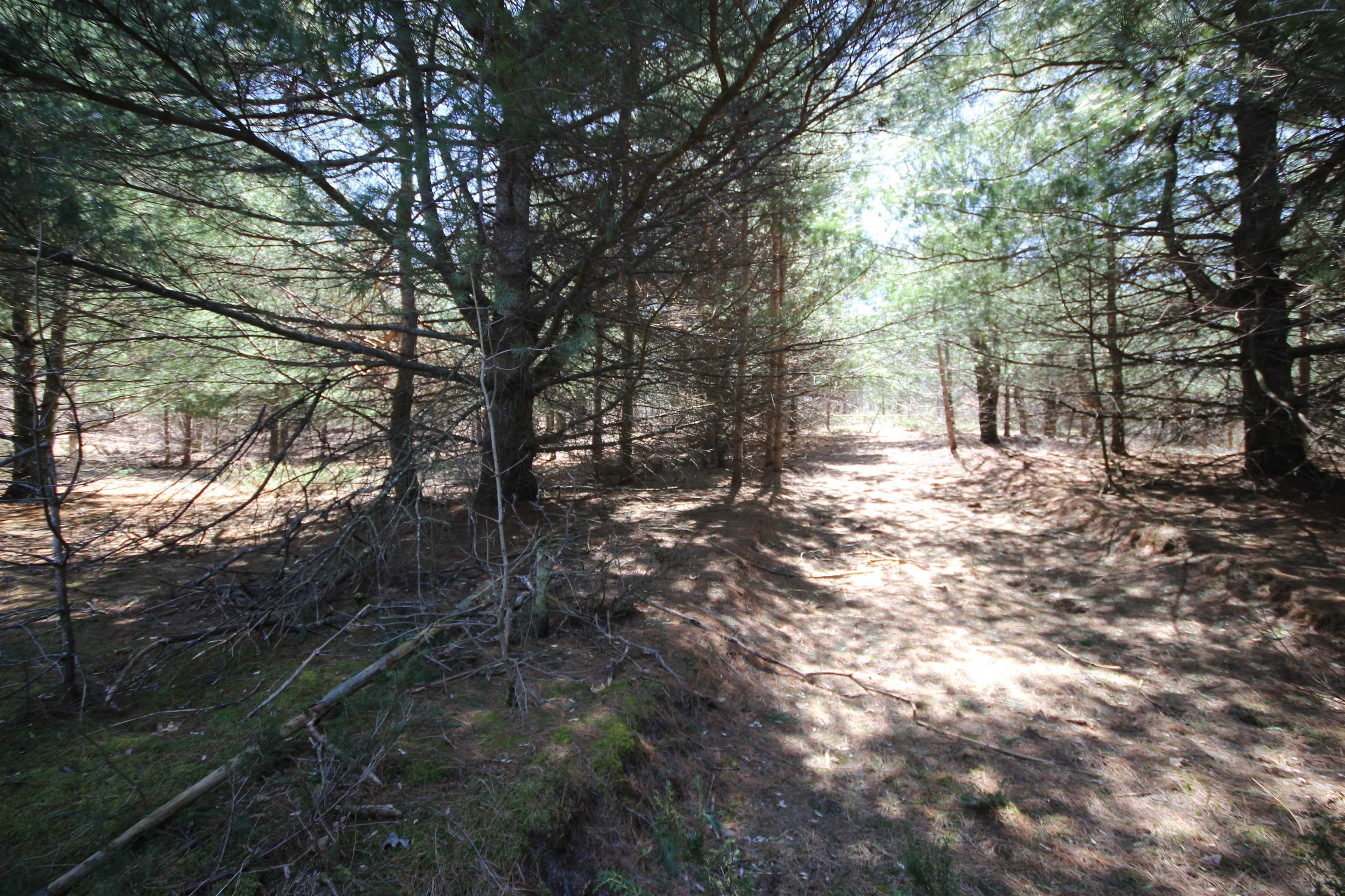 00 Maple View Drive