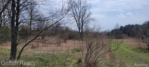 00 Beck Road Genoa Township MI 48843