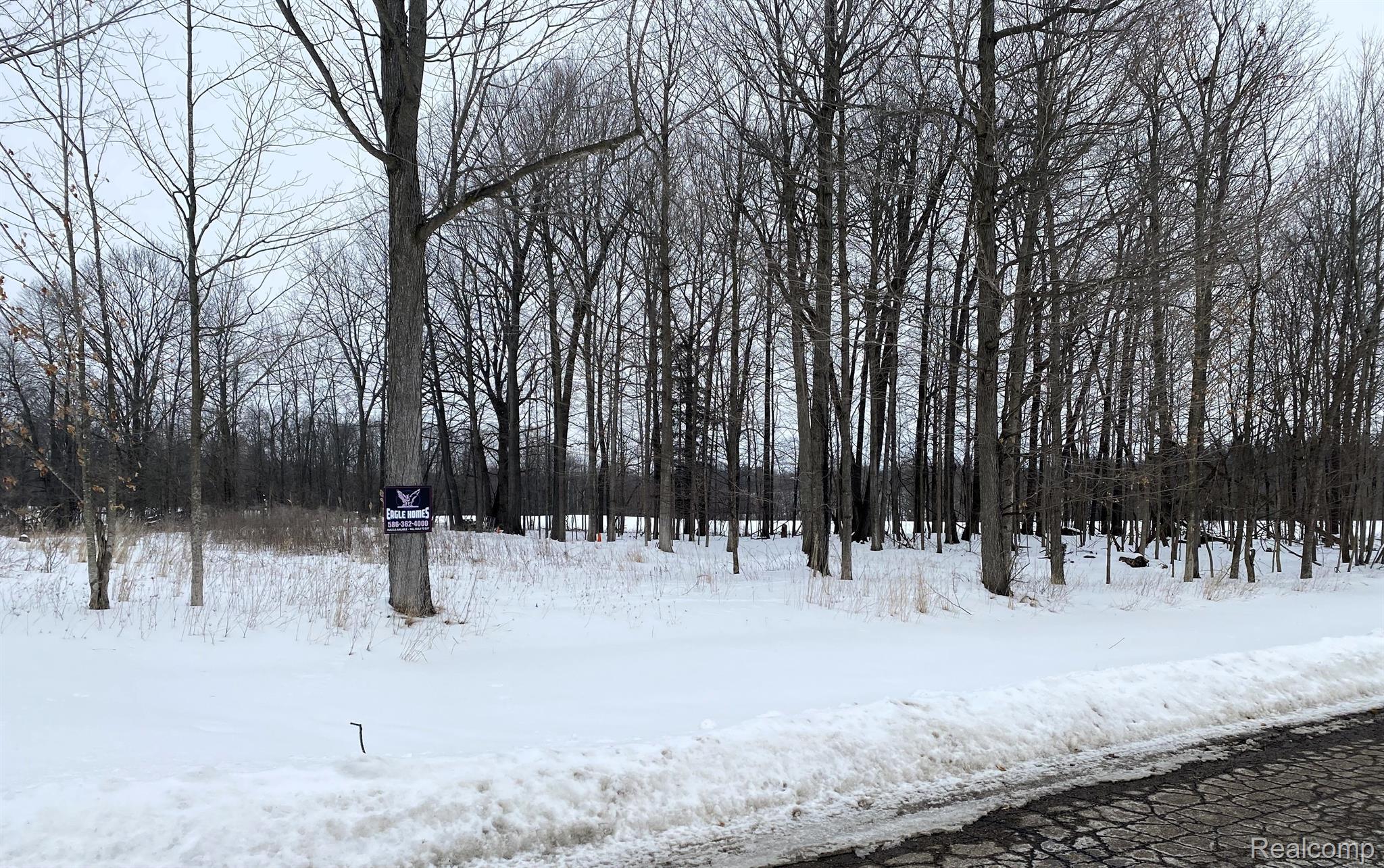 4171 BELLE RIDGE Drive