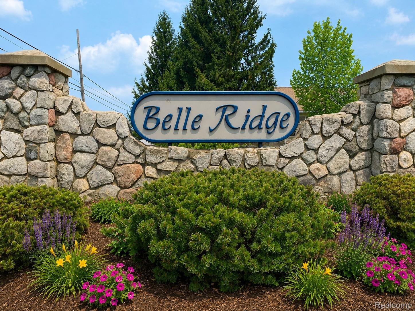 4171 BELLE RIDGE Drive