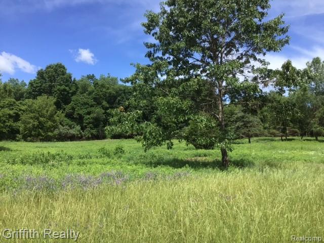 Parcel 1 E Coon Lake Road