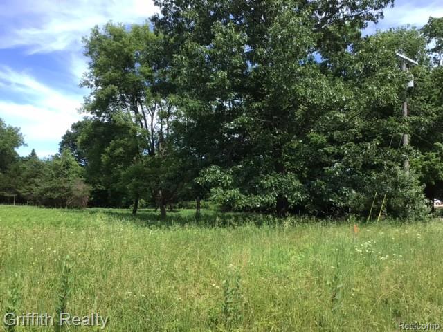 Parcel 1 E Coon Lake Road
