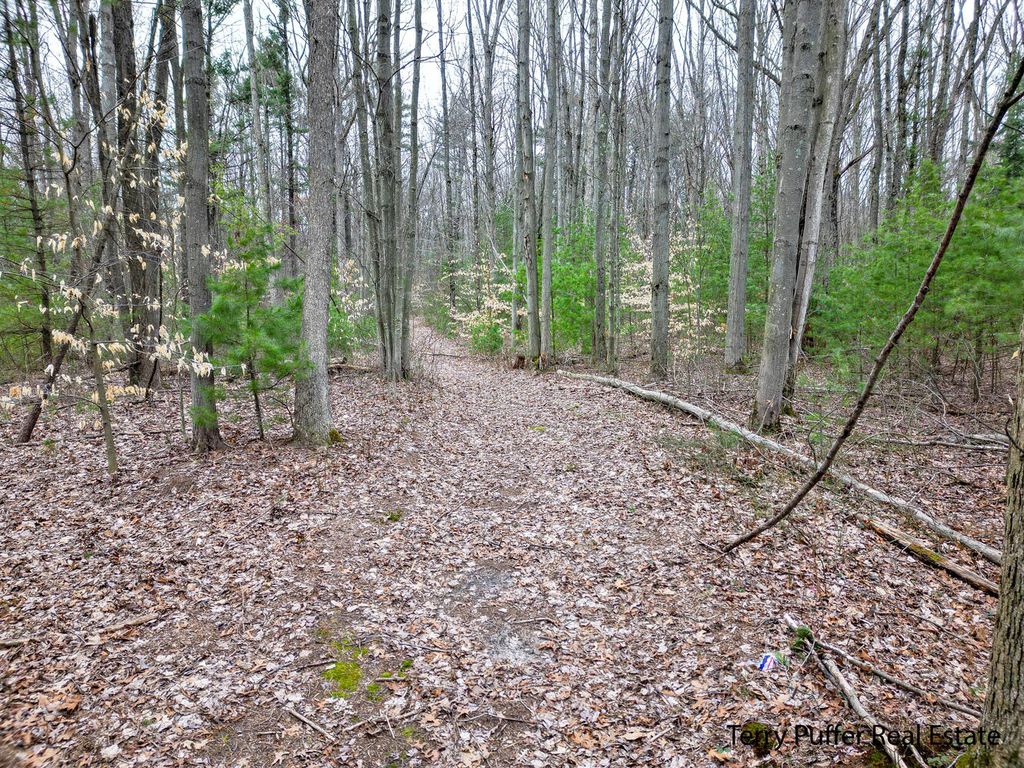 listing image 40