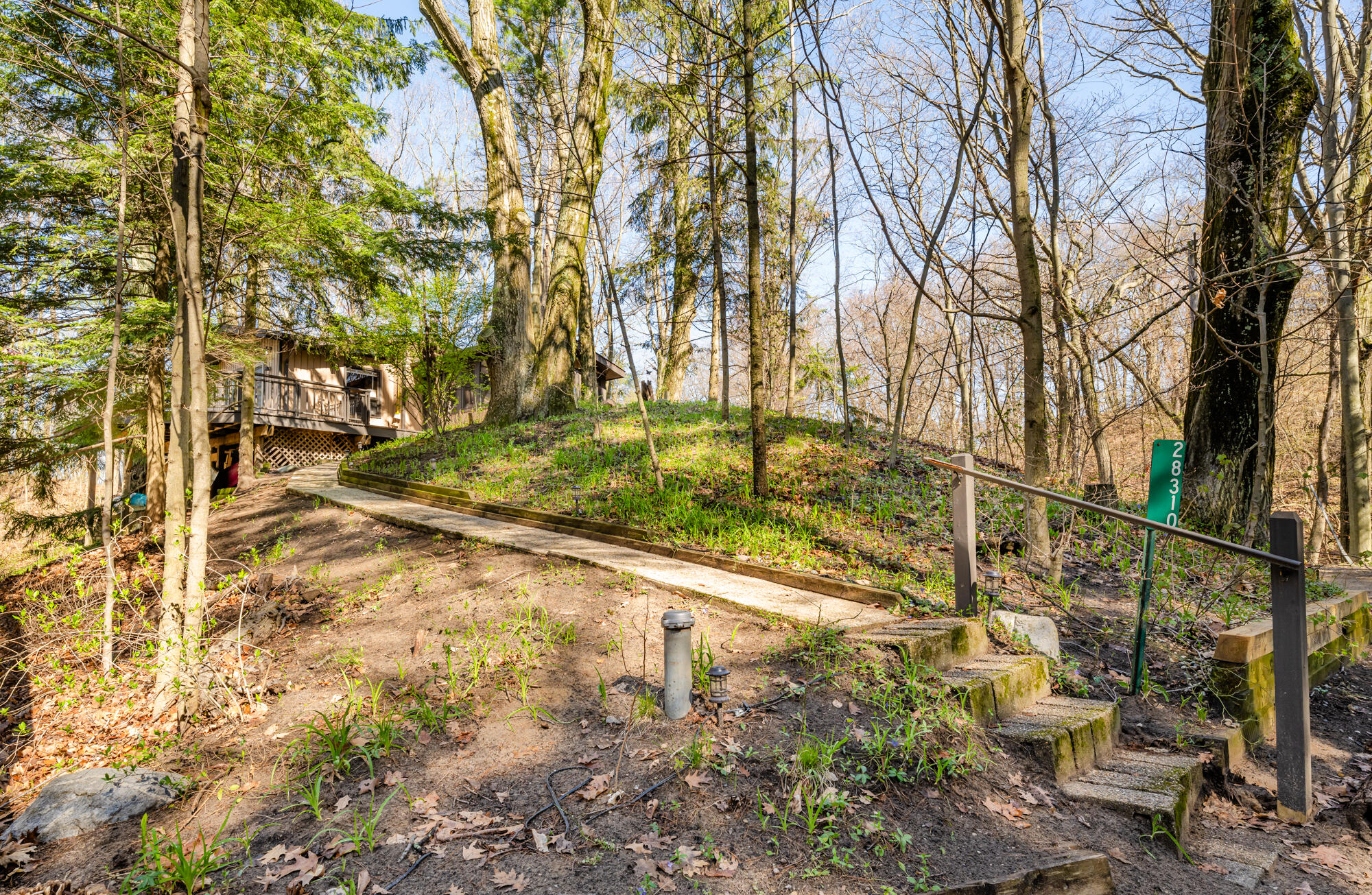 28310 Shorewood Drive