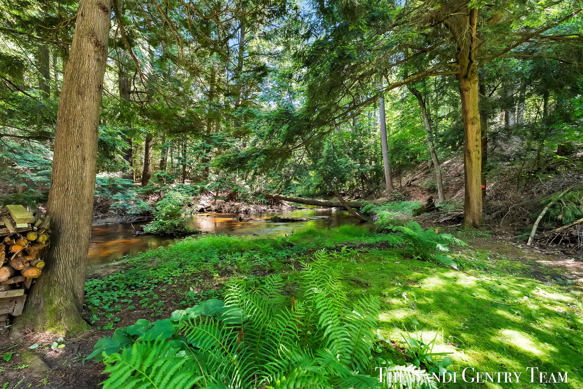 1360 E Bigelow Creek Trail