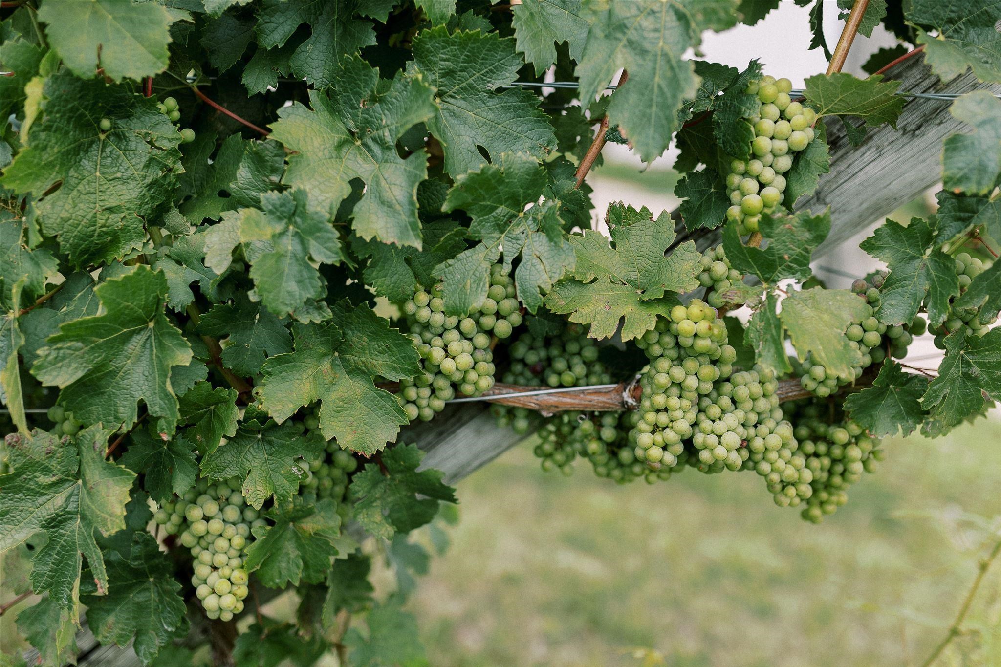 10343 E Hilltop Road