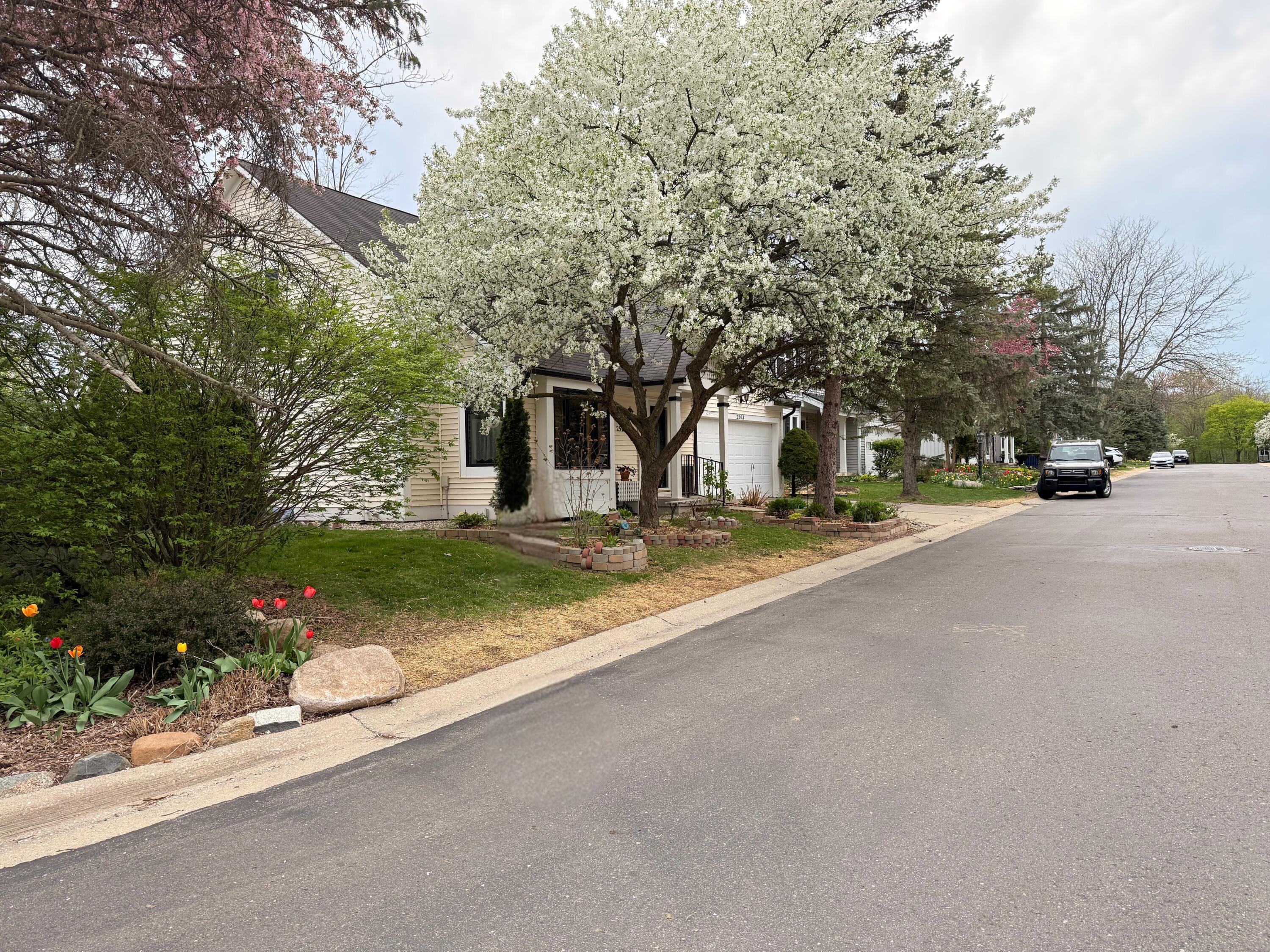 2503 Jade Court