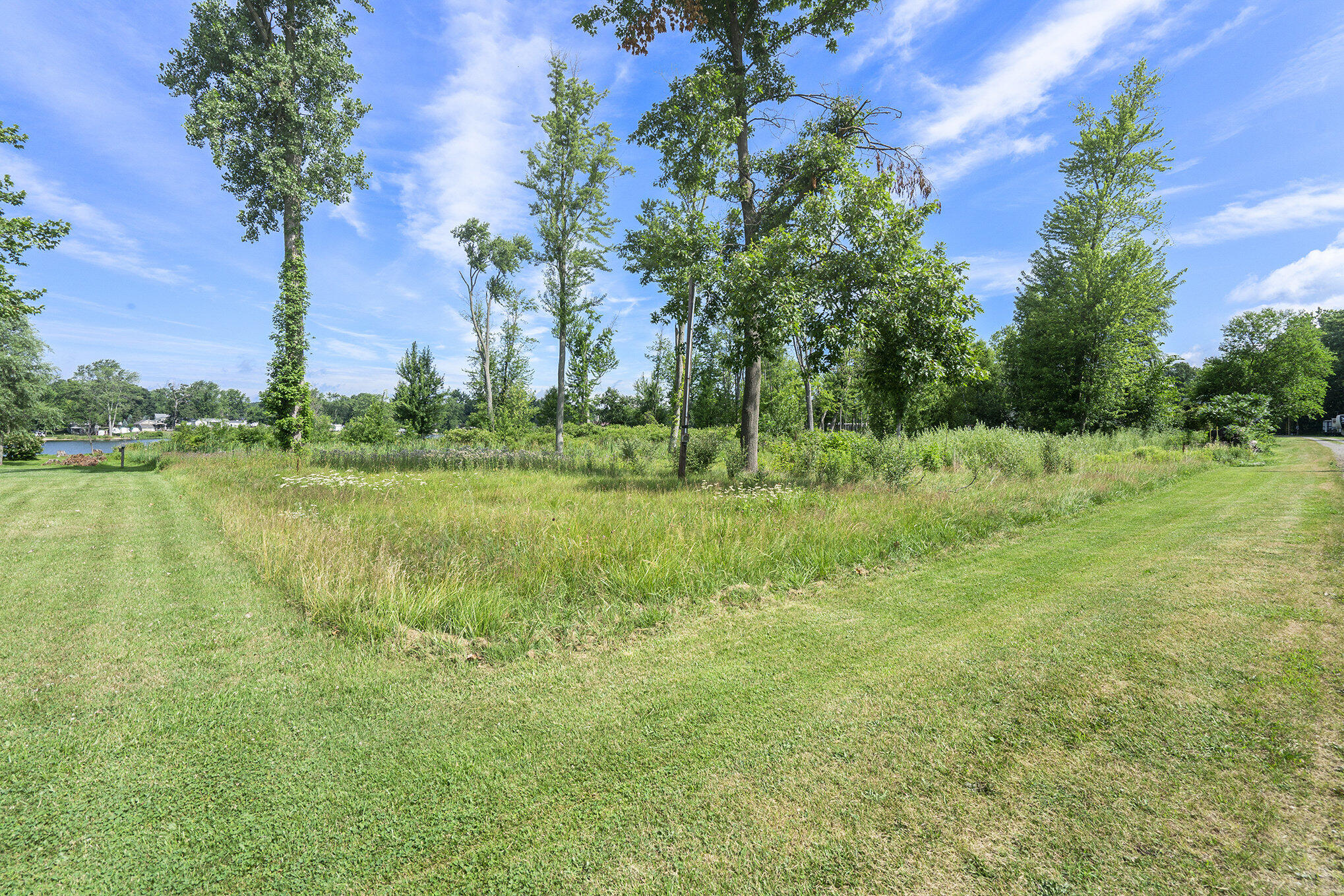 V/L White Pine Drive