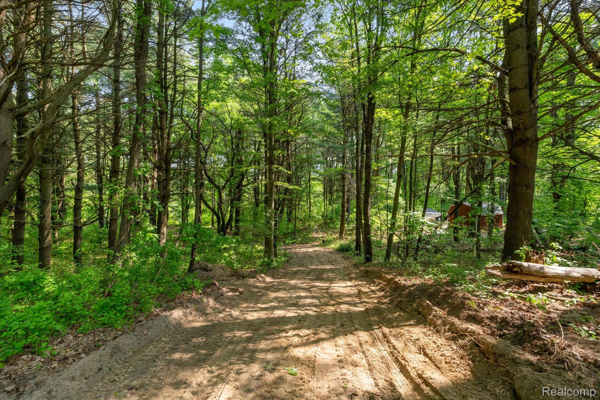 Dryden Township, Michigan 48428, United States, ,Land,Active,163731