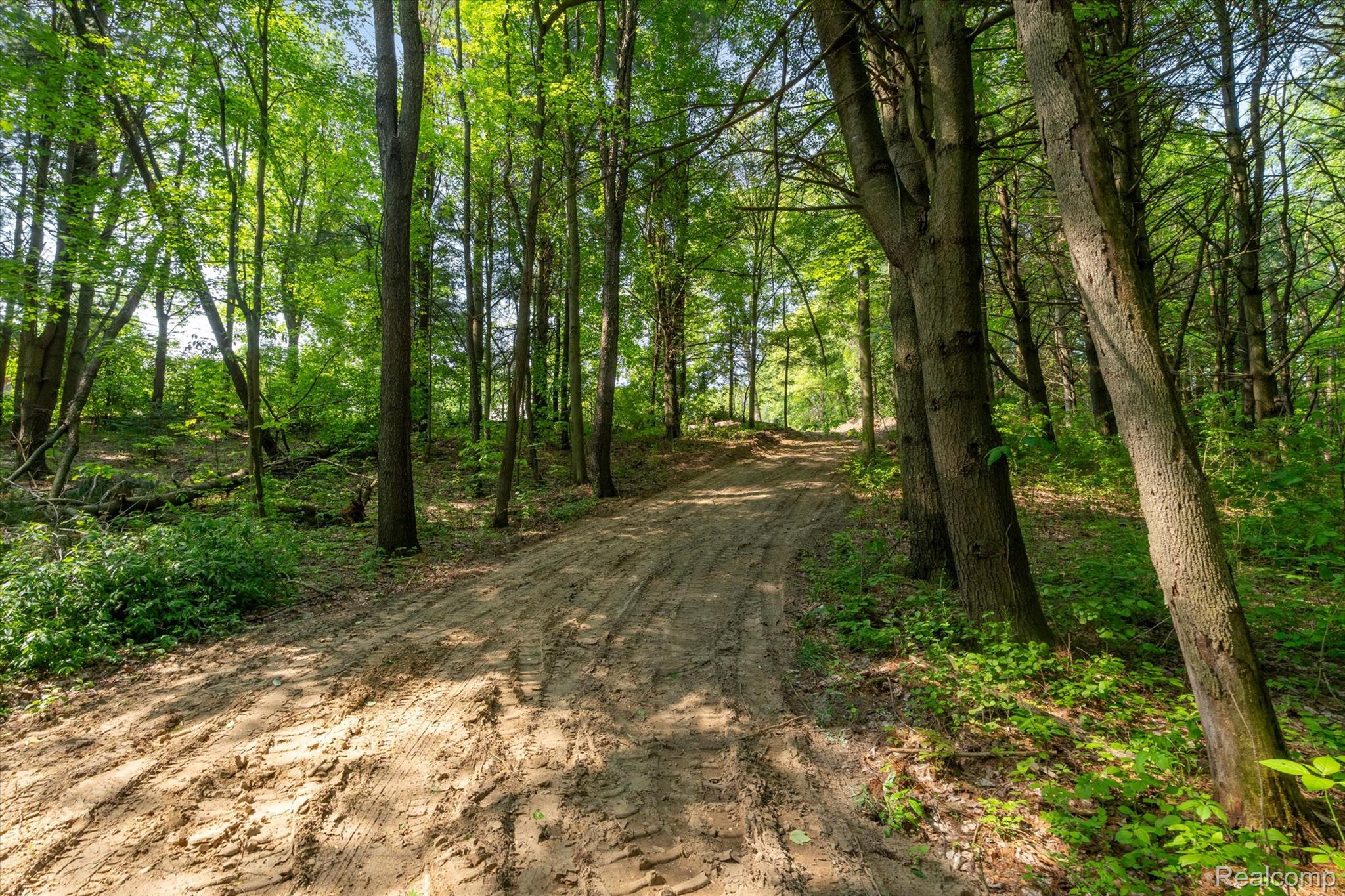 Dryden Township, Michigan 48428, United States, ,Land,Active,163731