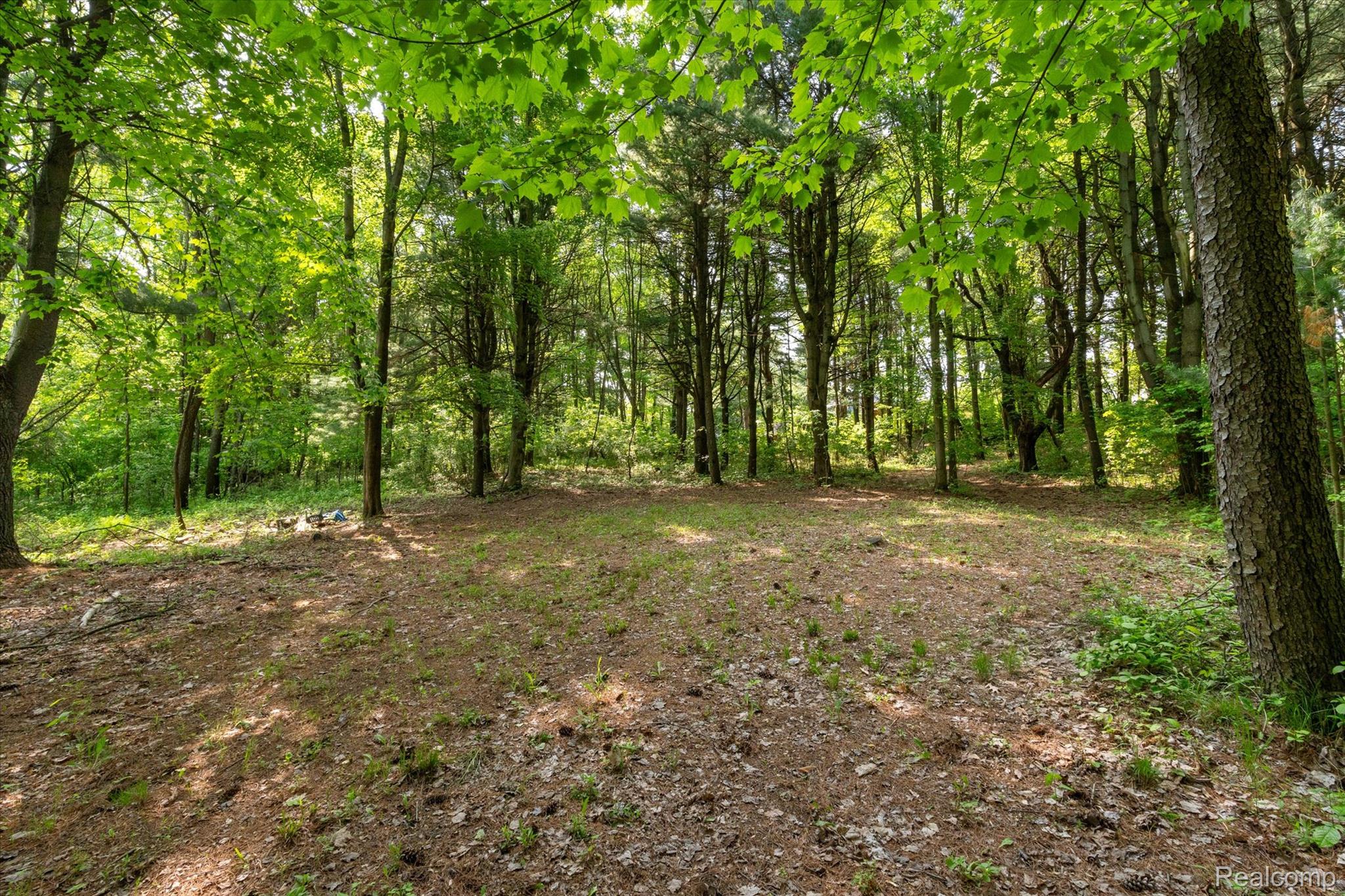 Dryden Township, Michigan 48428, United States, ,Land,Active,163731