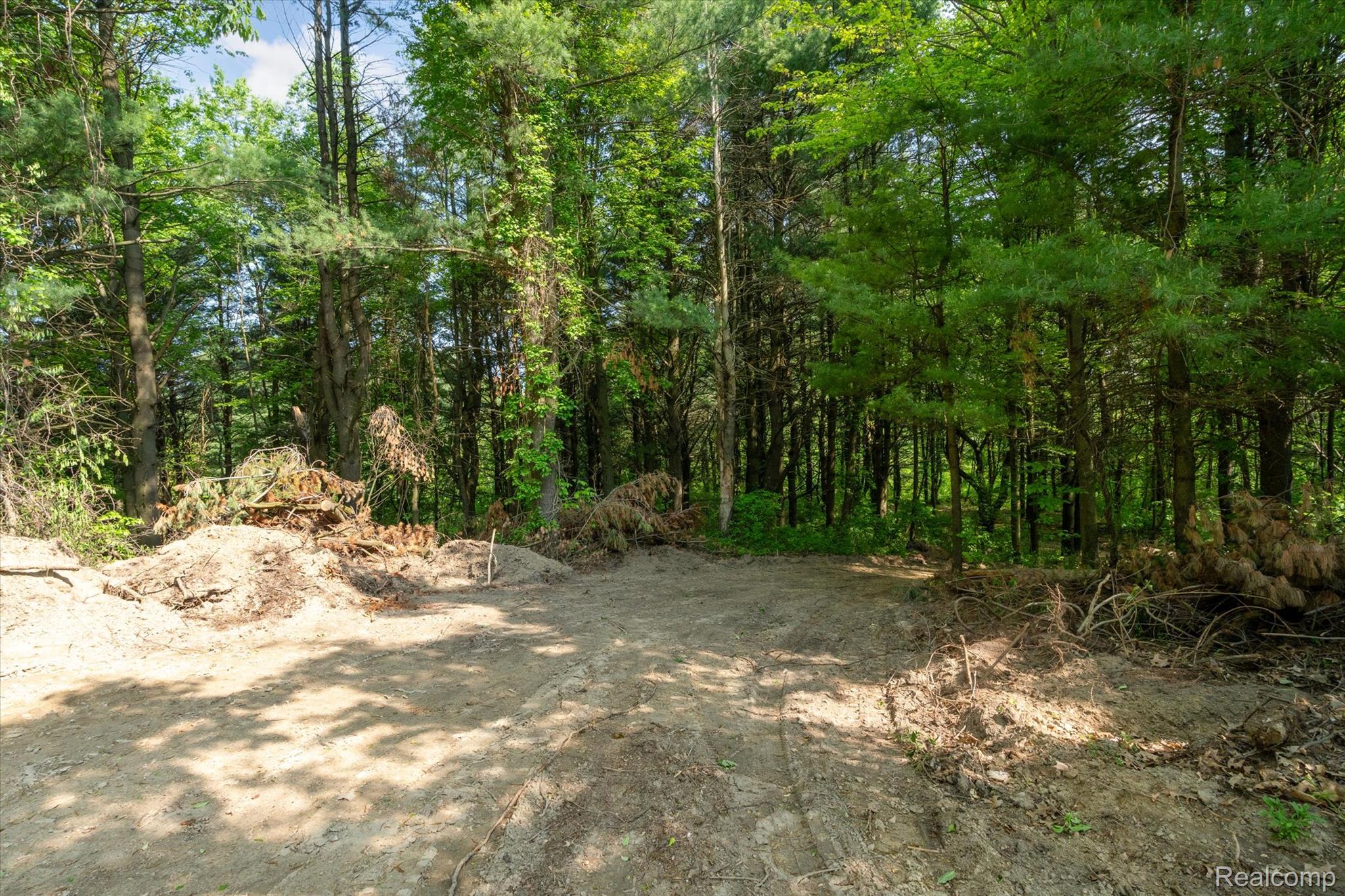 Dryden Township, Michigan 48428, United States, ,Land,Active,163731