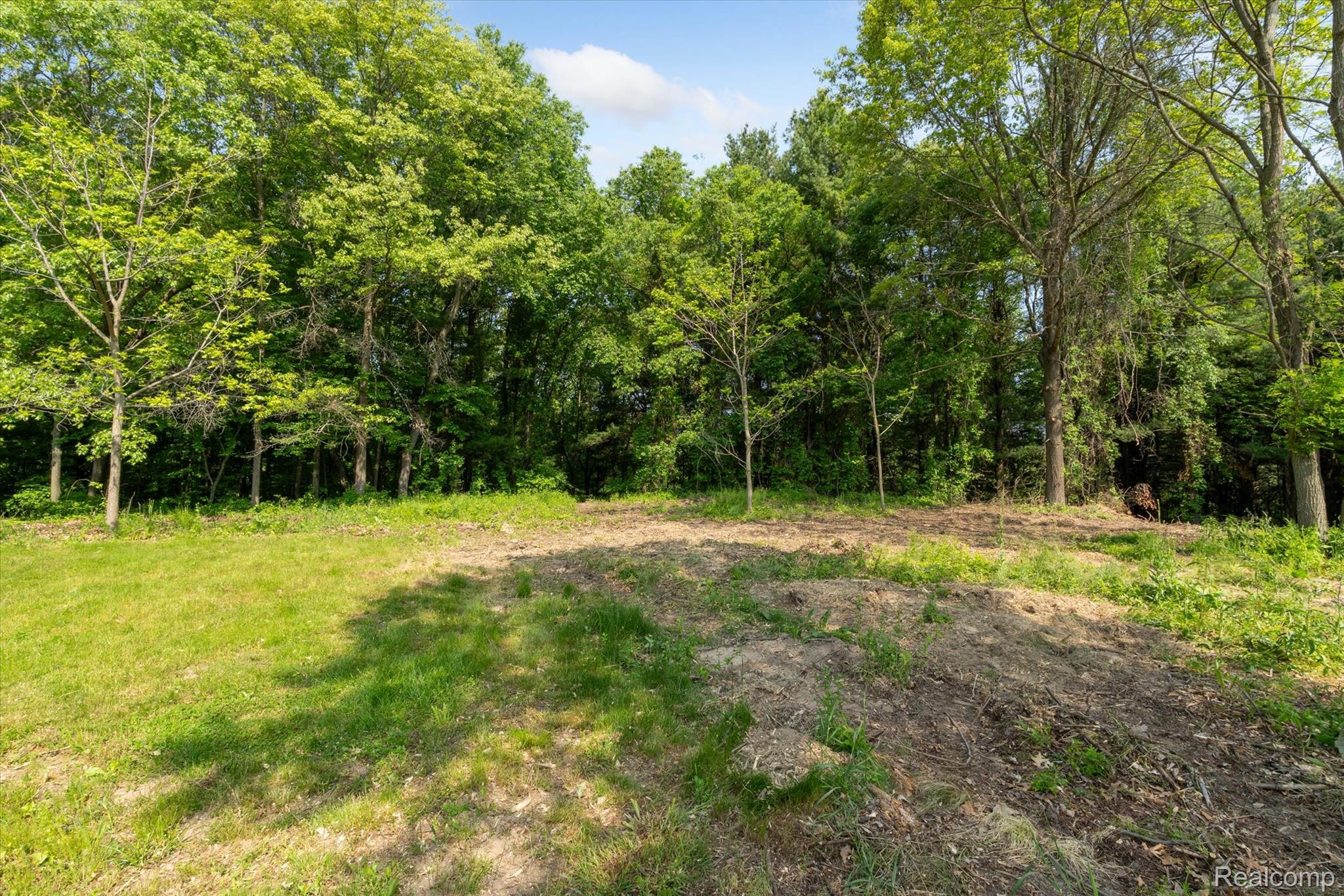 Dryden Township, Michigan 48428, United States, ,Land,Active,163731