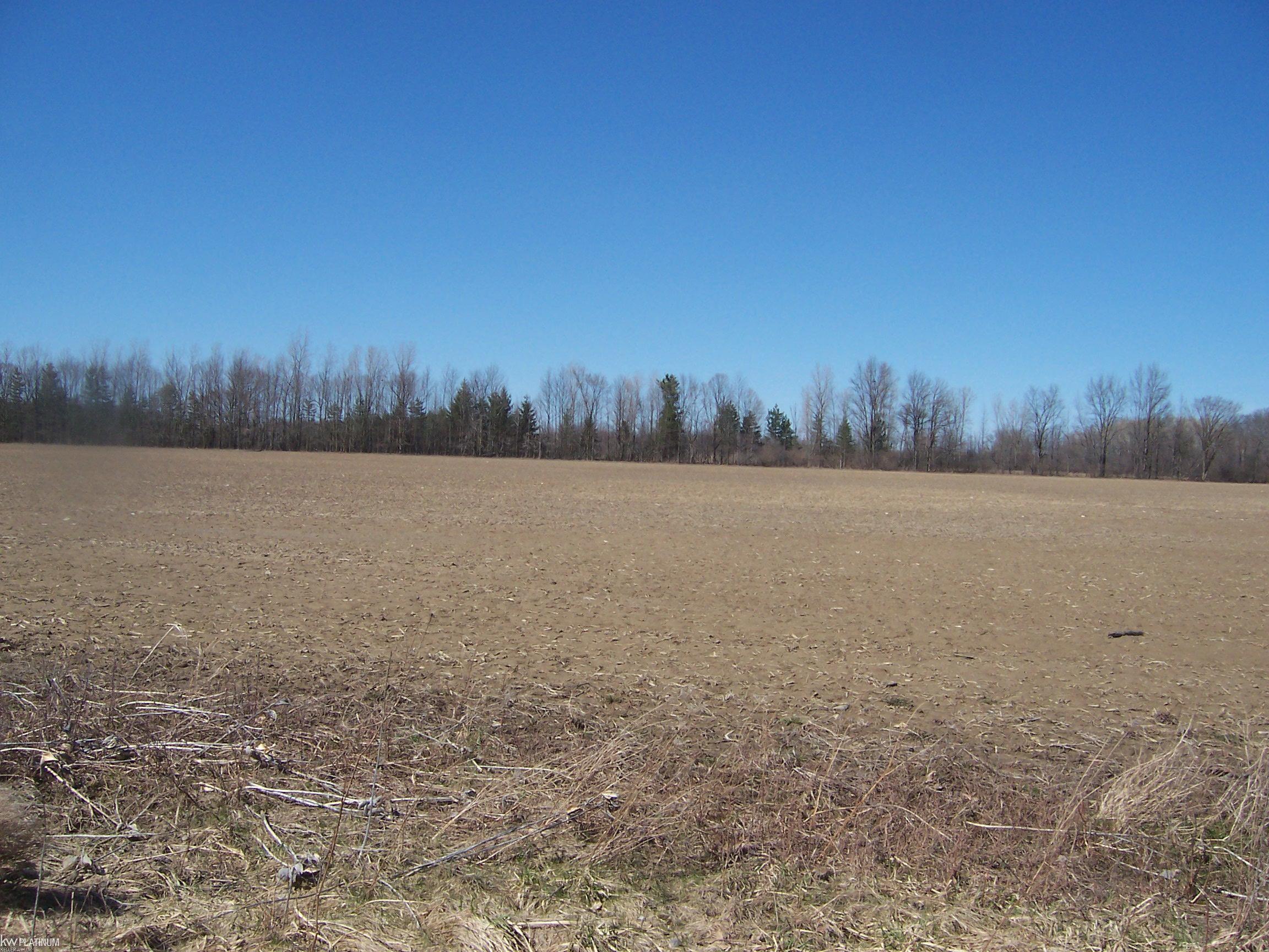 Lot 2 Beard Rd Road