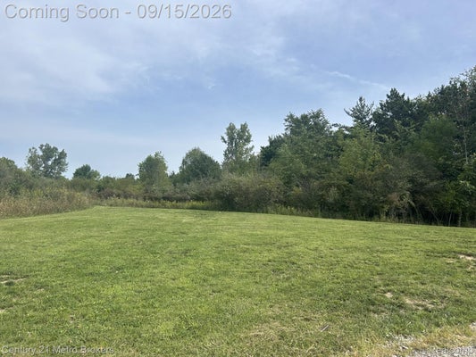 CREEKWOOD DR, GRAND BLANC, MI 48439 - Image eb05498512ec8057fdb8d5ca36ac9d21/2522064008