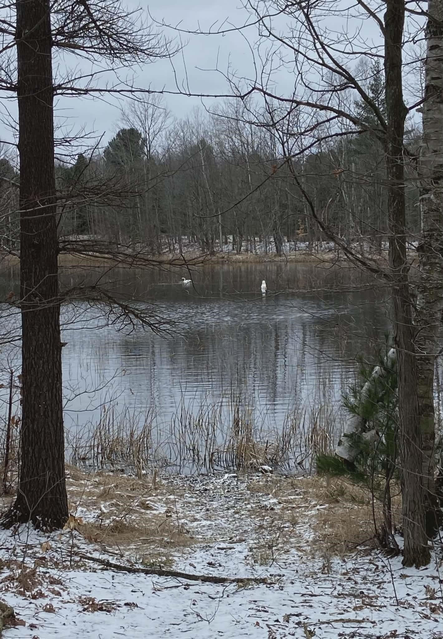 20047 Davis Lake Road
