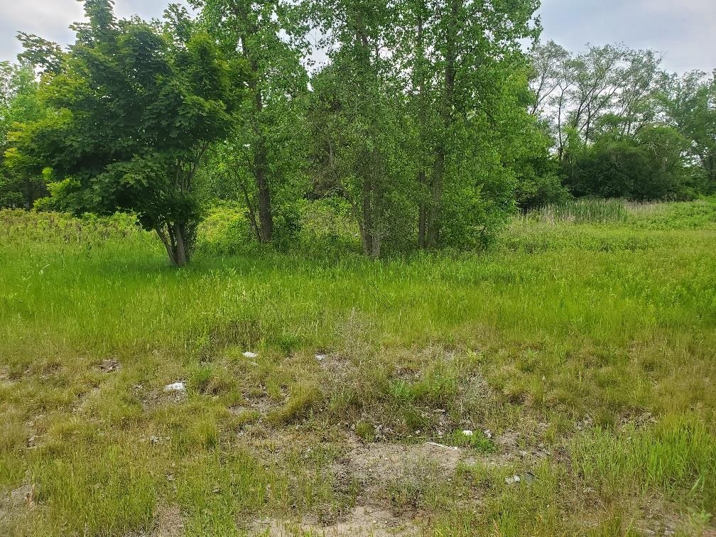 TBD E Pickard Road