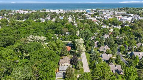 Tiny photo for 226 S Barker Street, New Buffalo City, MI 49117 (MLS # 65026025903)