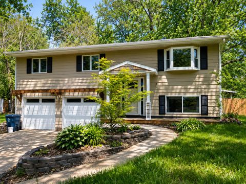 1949 Orchard Drive Lincoln Charter Township MI 49127