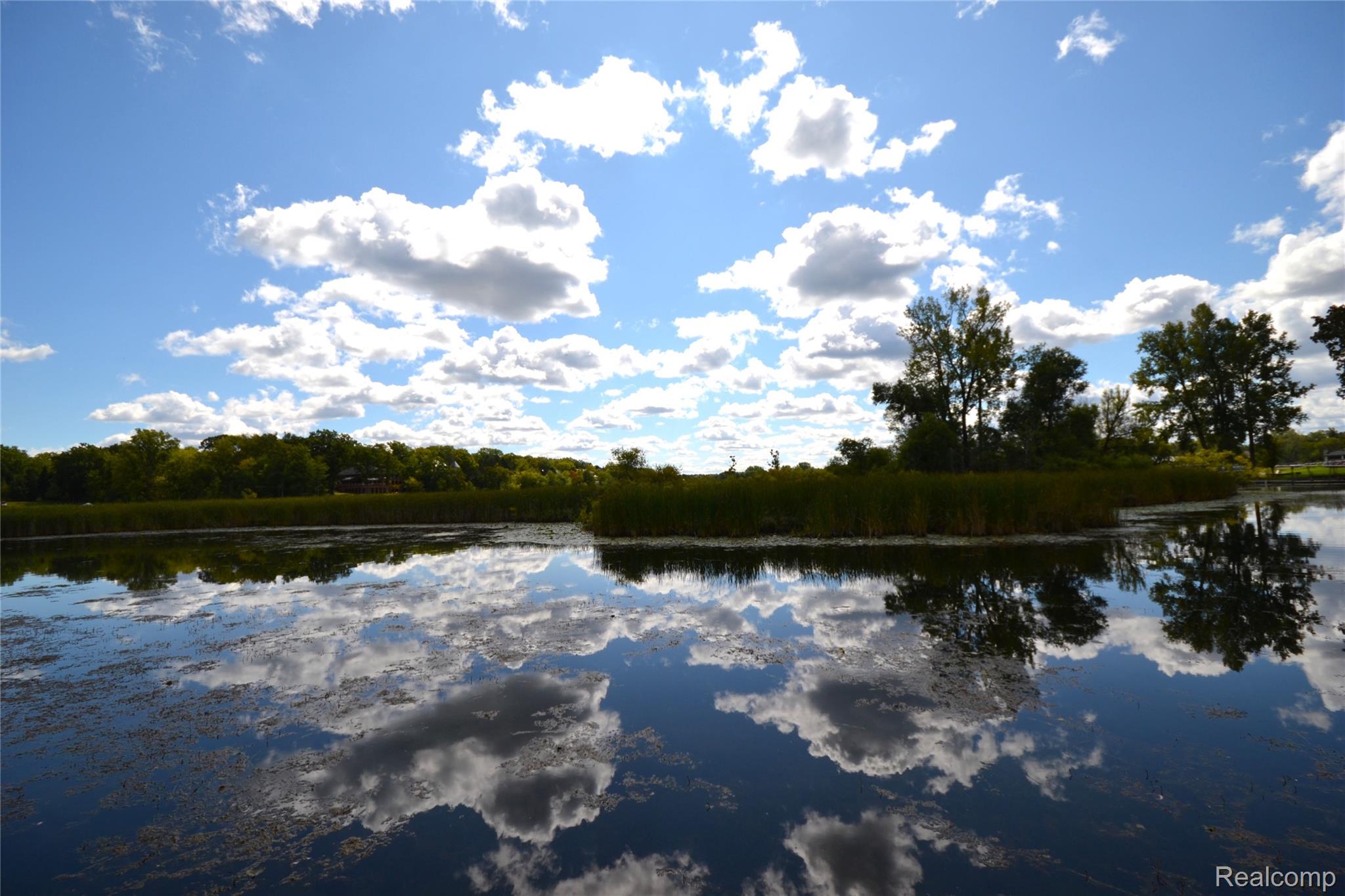 Bloomfield Hills City, Michigan 48302, United States, 3 Bedrooms Bedrooms, ,2 BathroomsBathrooms,Residential,Active,207379