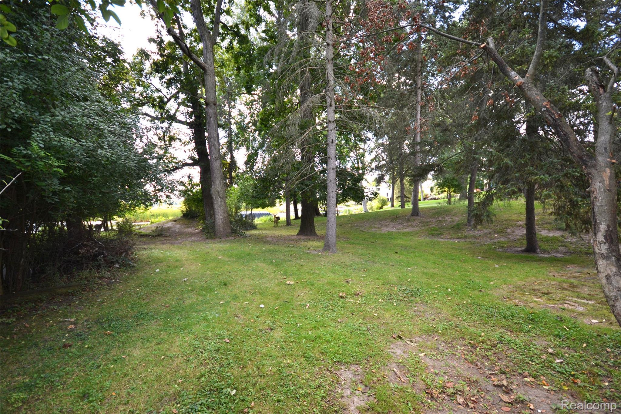 Bloomfield Hills City, Michigan 48302, United States, 3 Bedrooms Bedrooms, ,2 BathroomsBathrooms,Residential,Active,207379