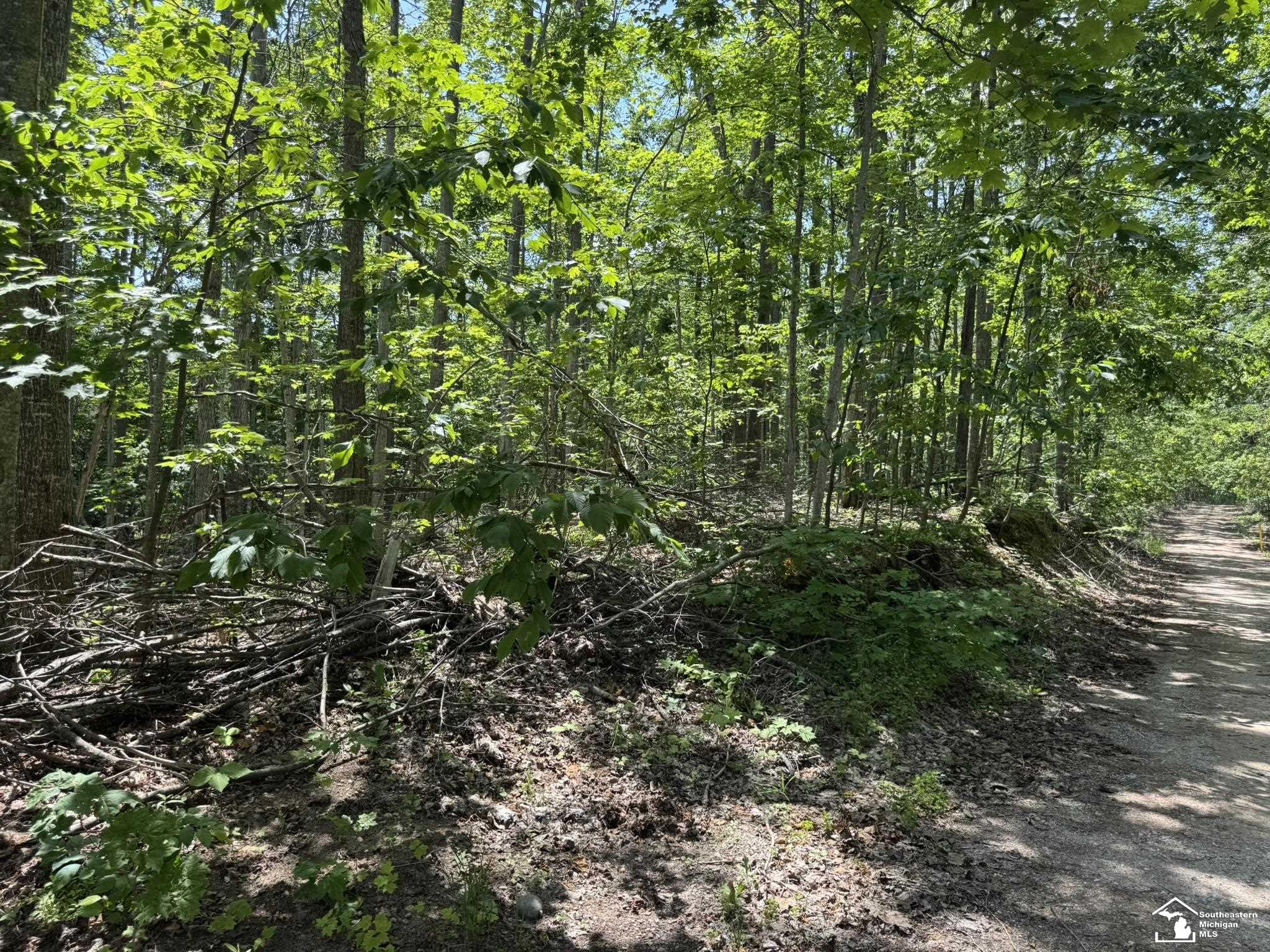 000 Hayes Tower Road