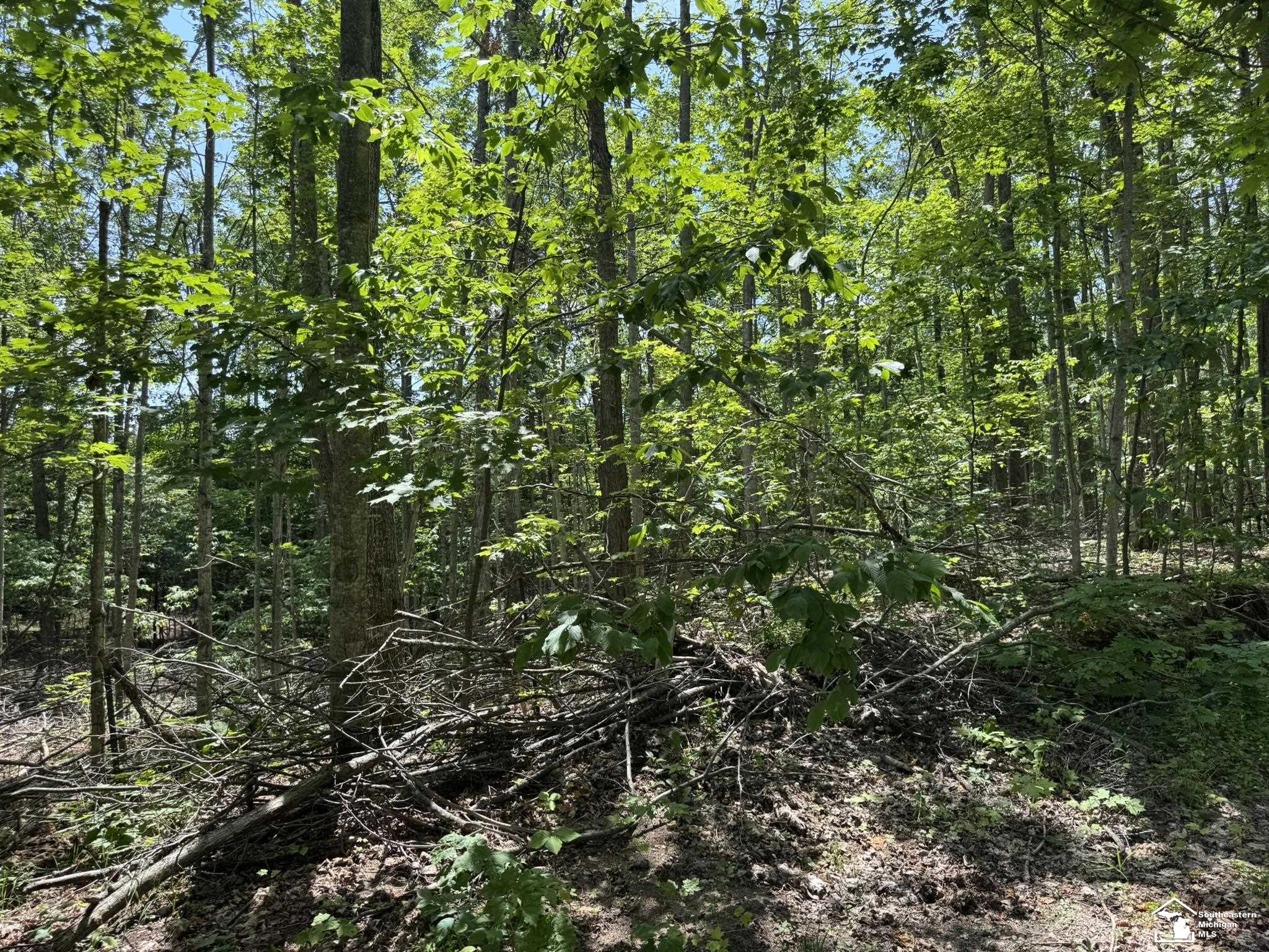 000 Hayes Tower Road