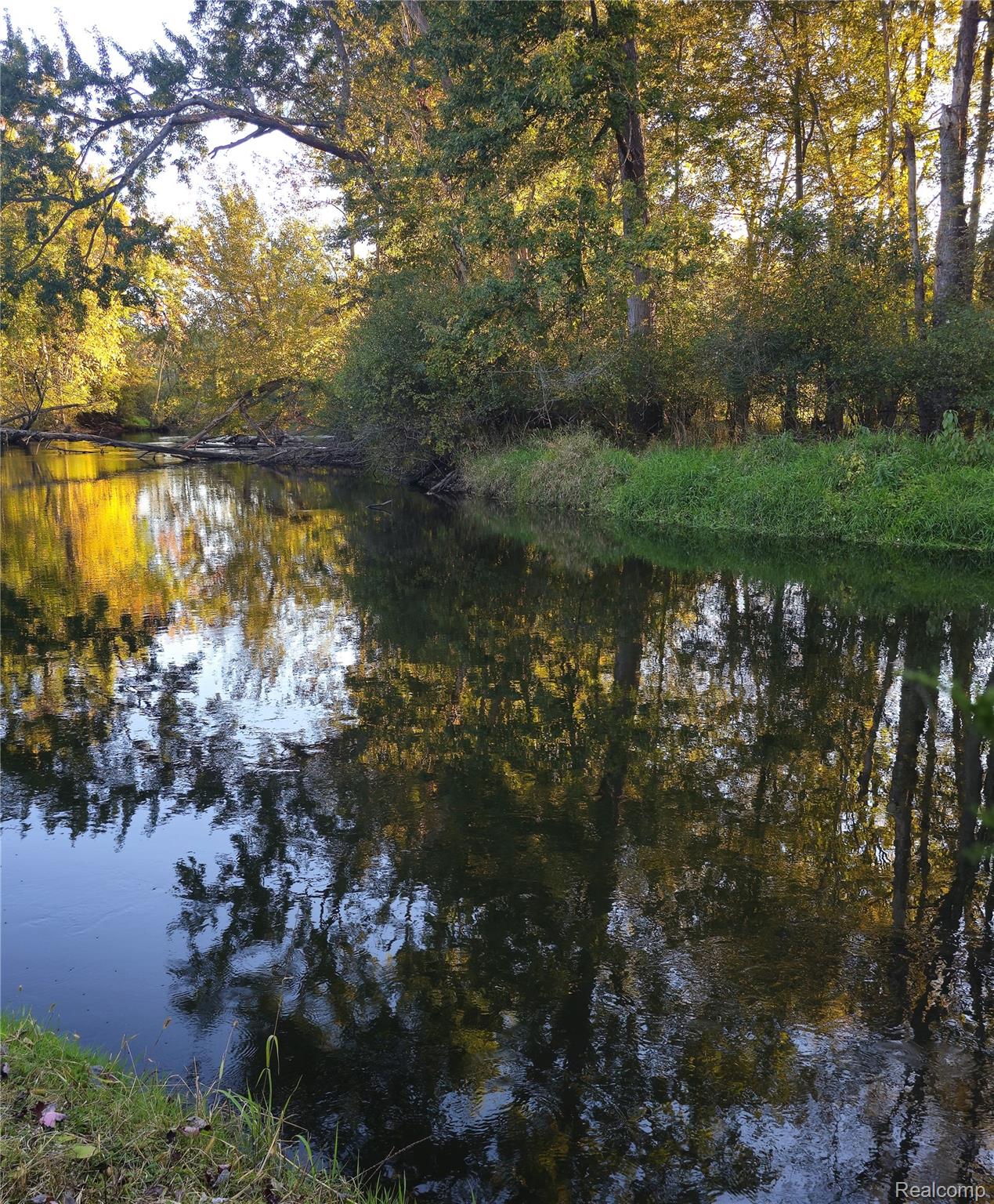 8398 Whitmore Lake Road