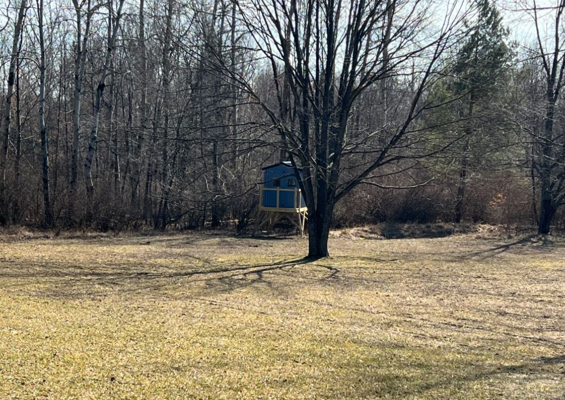 7368 CLEAR LAKE Road