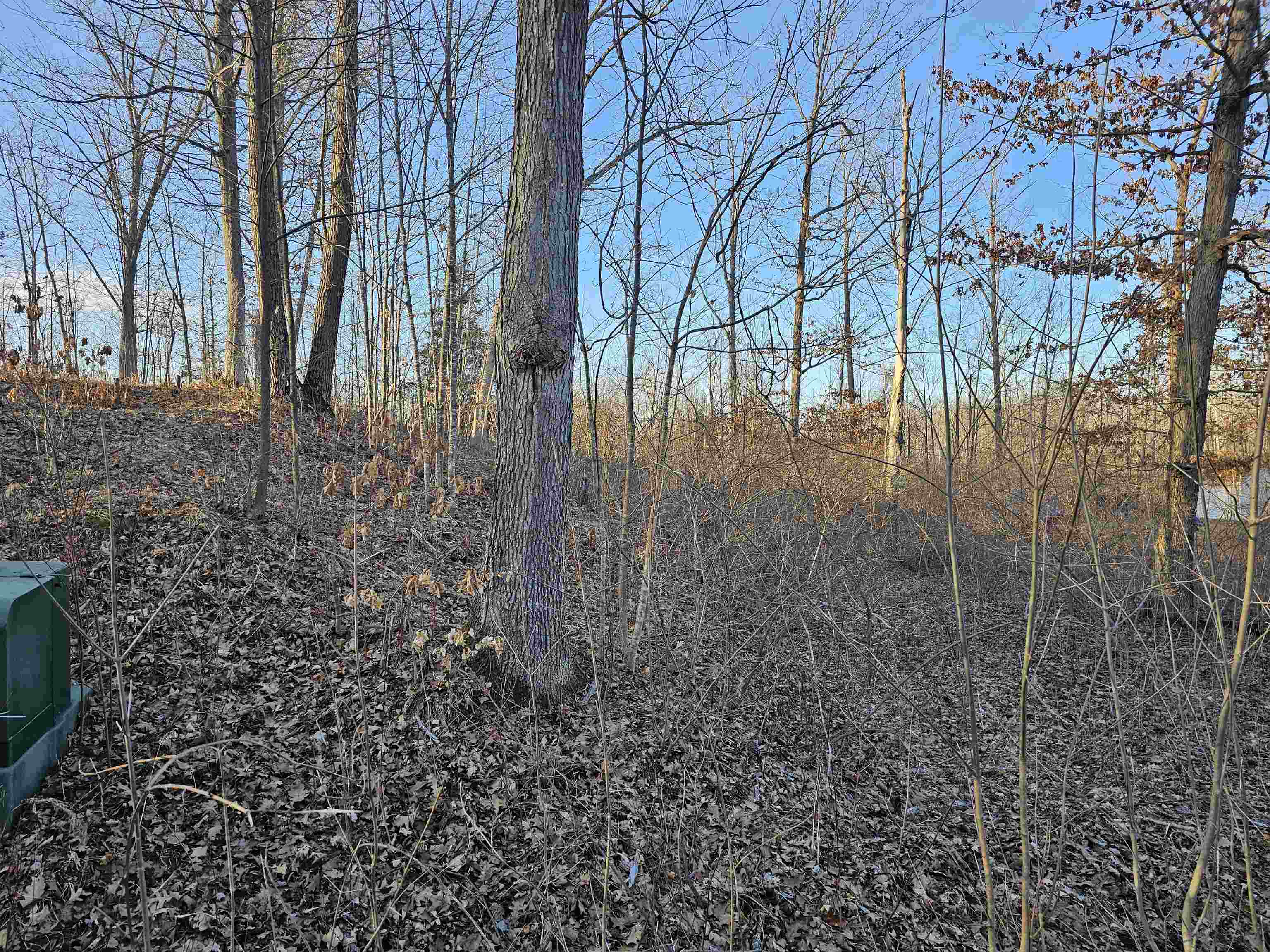 Listing image 8