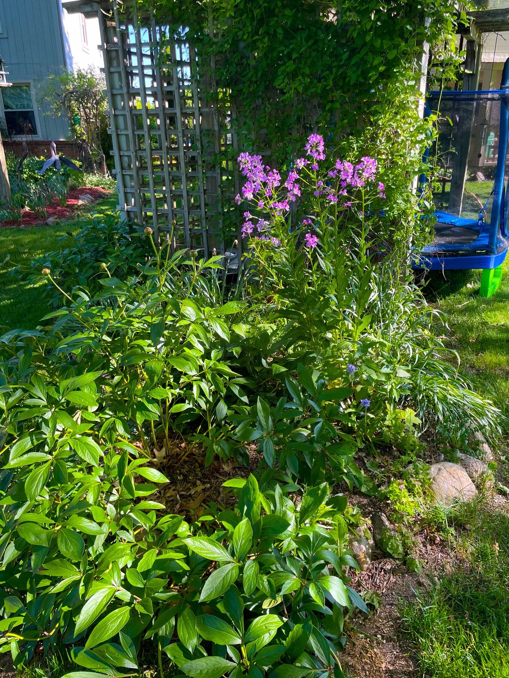 listing image 59