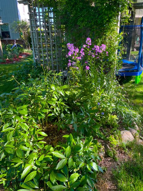 listing image 59