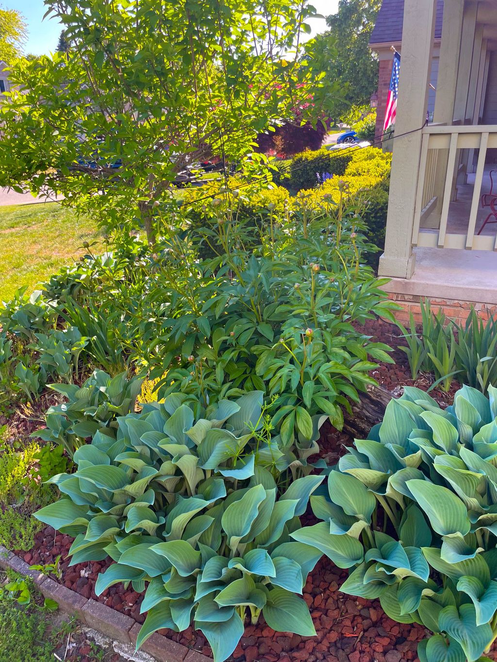 listing image 60