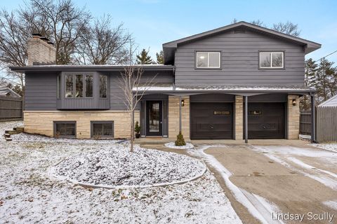 3106 Chamberlain Avenue SE Grand Rapids City MI 49508