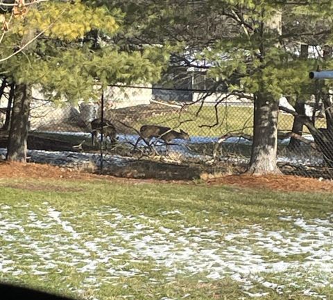 Tiny photo for 3106 Chamberlain Avenue SE, Grand Rapids City, MI 49508 (MLS # 65026001826)