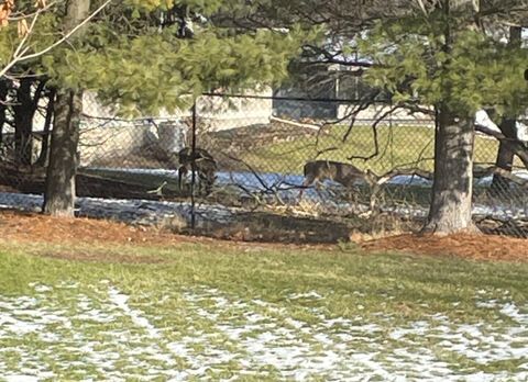 Tiny photo for 3106 Chamberlain Avenue SE, Grand Rapids City, MI 49508 (MLS # 65026001826)