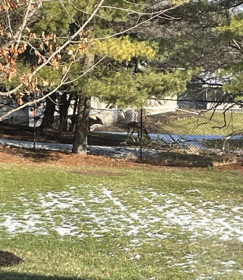 Tiny photo for 3106 Chamberlain Avenue SE, Grand Rapids City, MI 49508 (MLS # 65026001826)