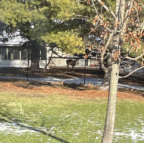 Tiny photo for 3106 Chamberlain Avenue SE, Grand Rapids City, MI 49508 (MLS # 65026001826)