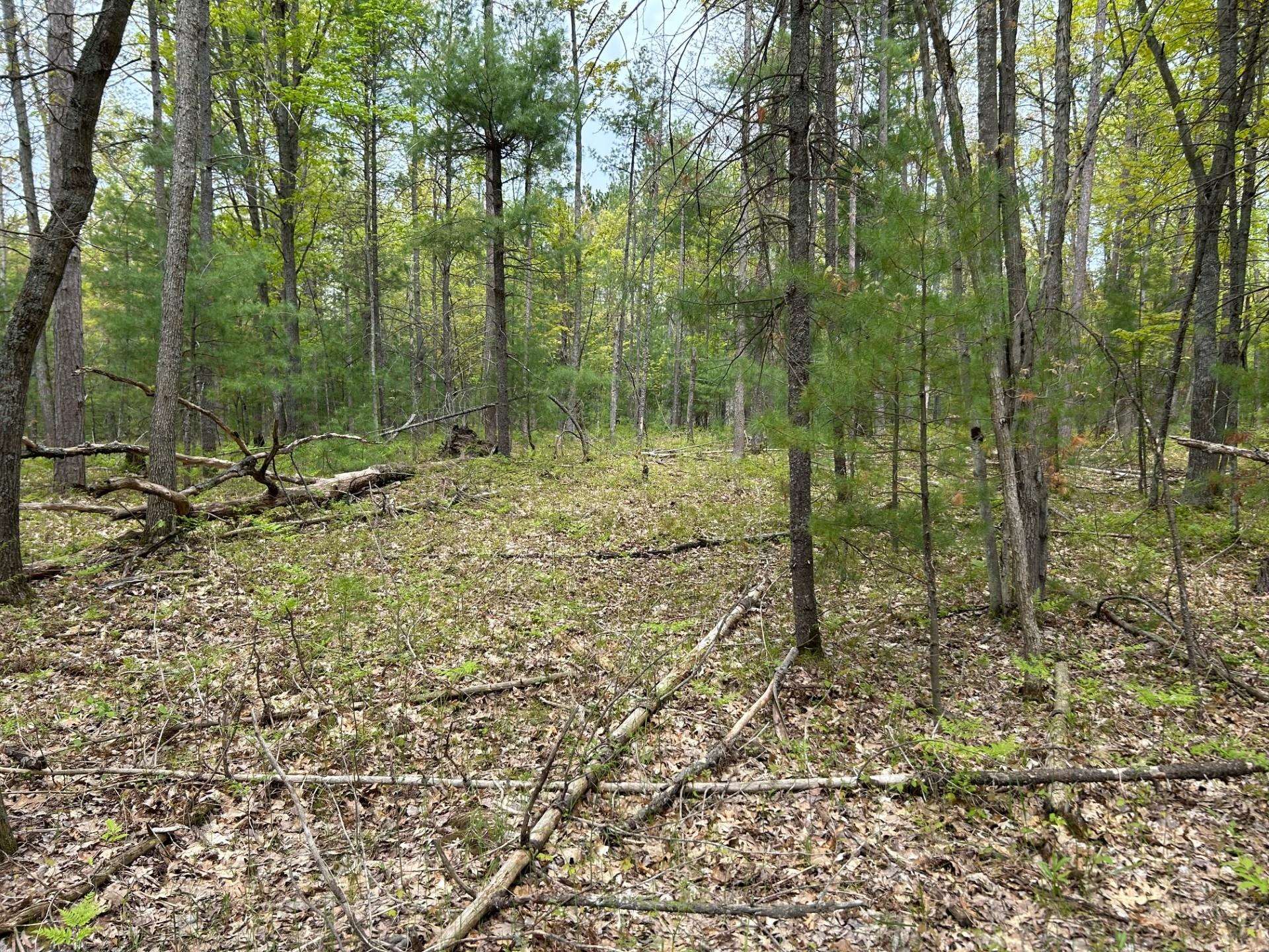 TBD Muncie View Trail