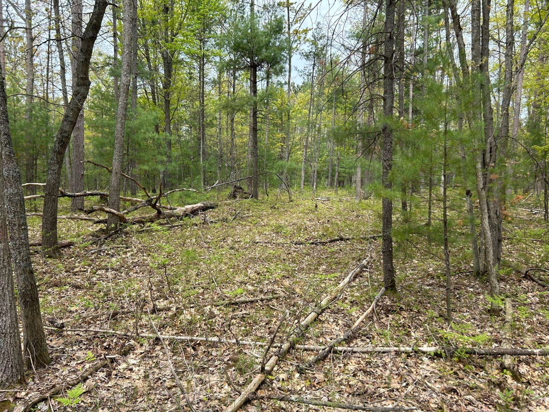 TBD Muncie View Trail