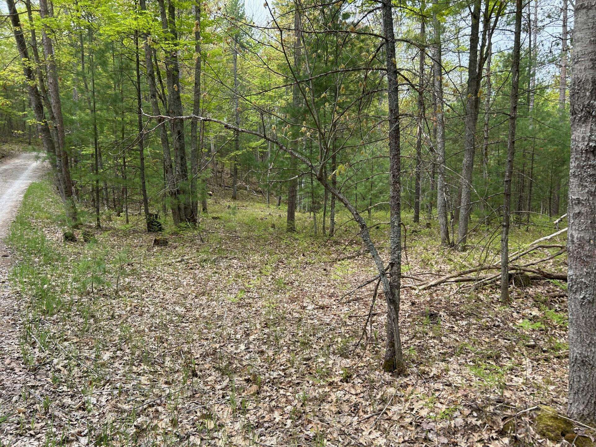 TBD Muncie View Trail