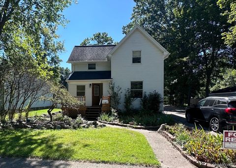 543 W Middle Street Chelsea City MI 48118