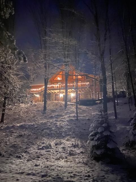 8723 N 96th Avenue Pentwater Township MI 49449