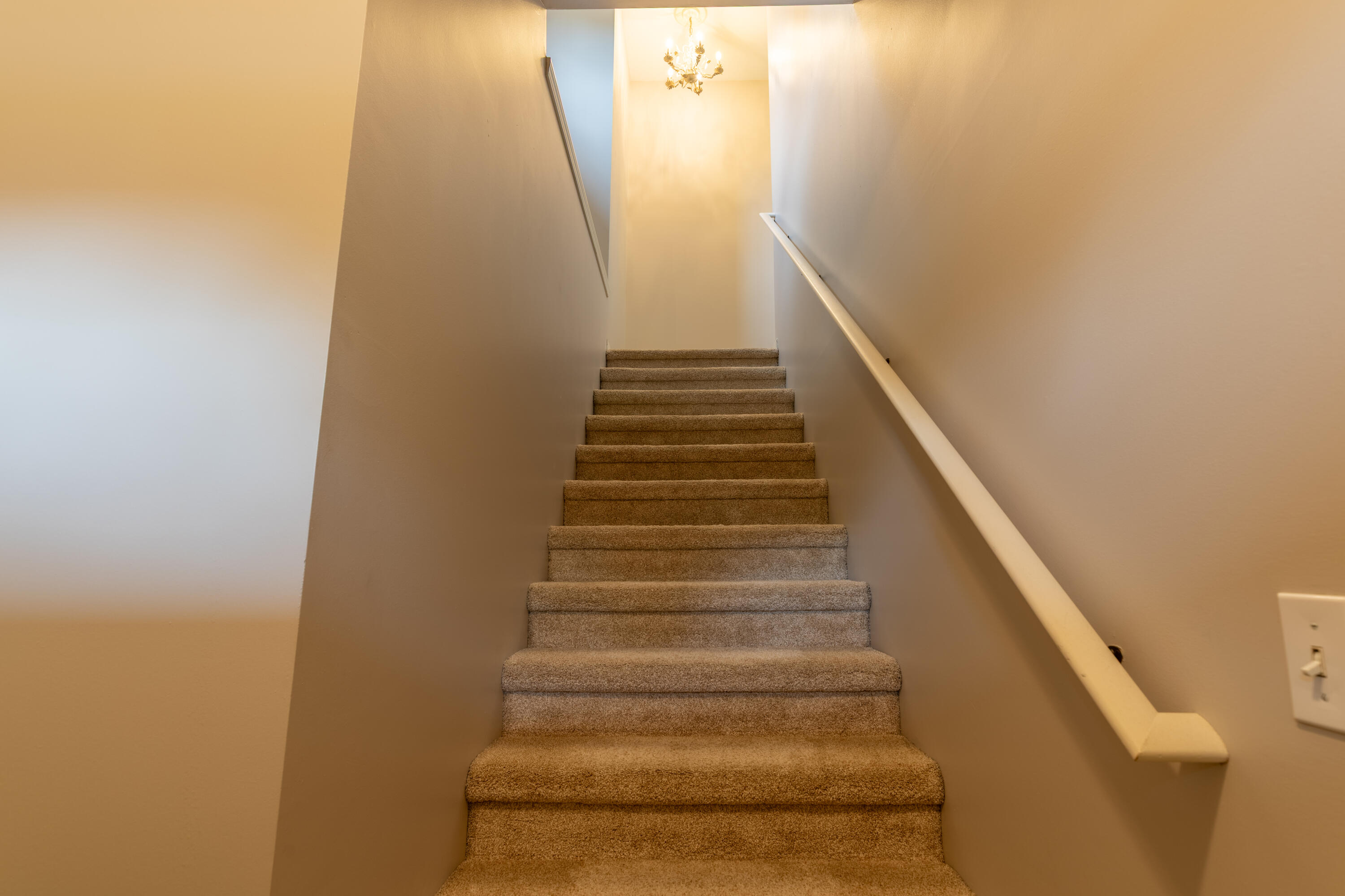 3151 Primrose Lane