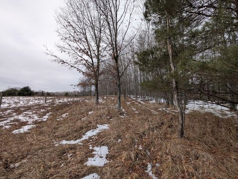 2370 S Coville Road Greenbush Township MI 48745