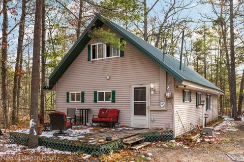 5987 Hillside Drive Greenwood Township MI 49756